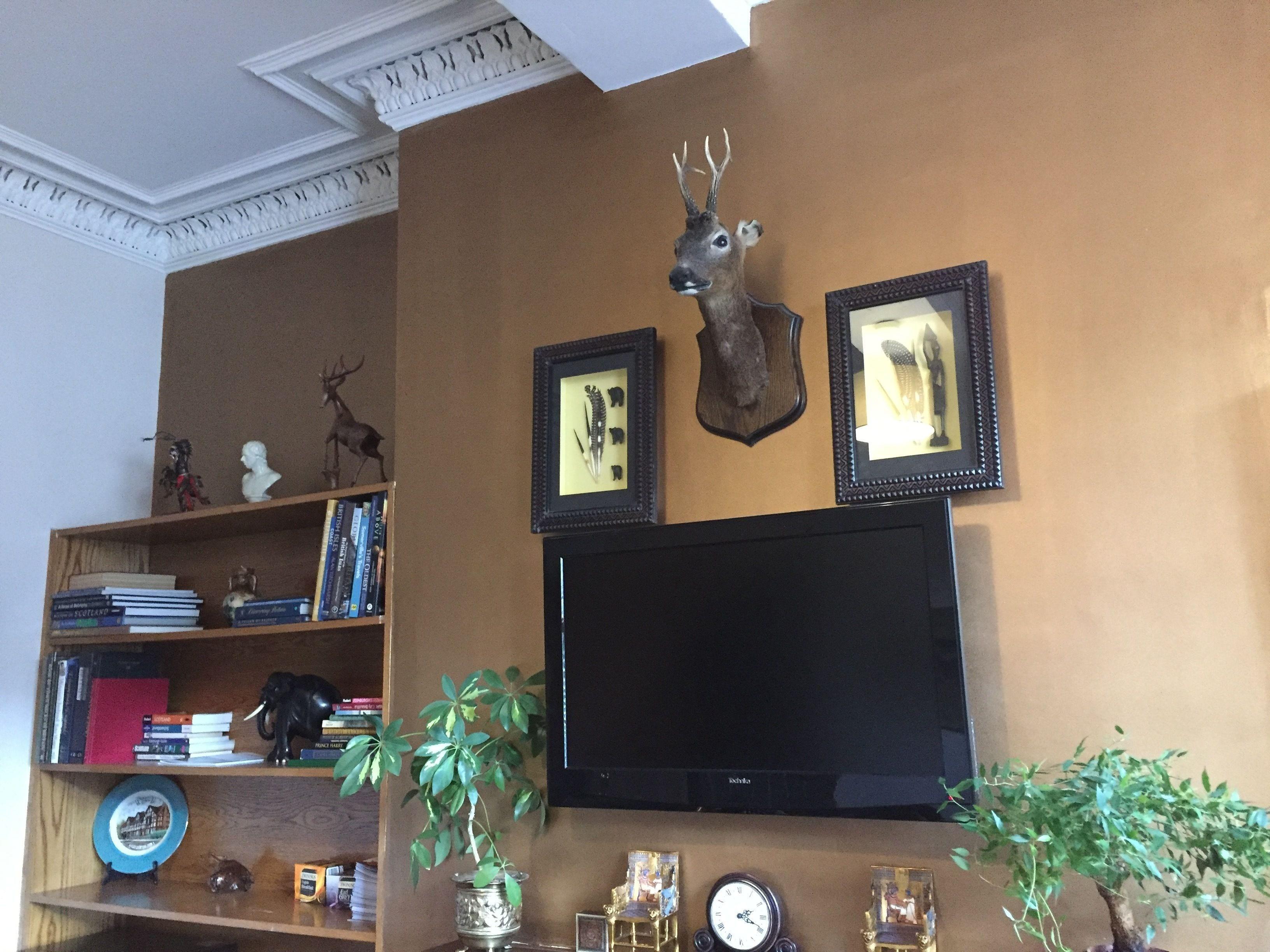 Cambridge House — Photos 1